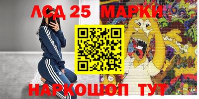 прущие грибы Апшеронск