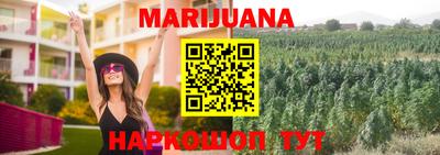 стаф Аргун