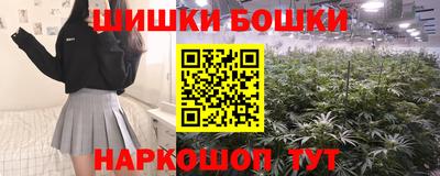 стаф Аргун
