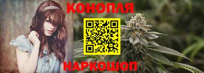 прущие грибы Апшеронск