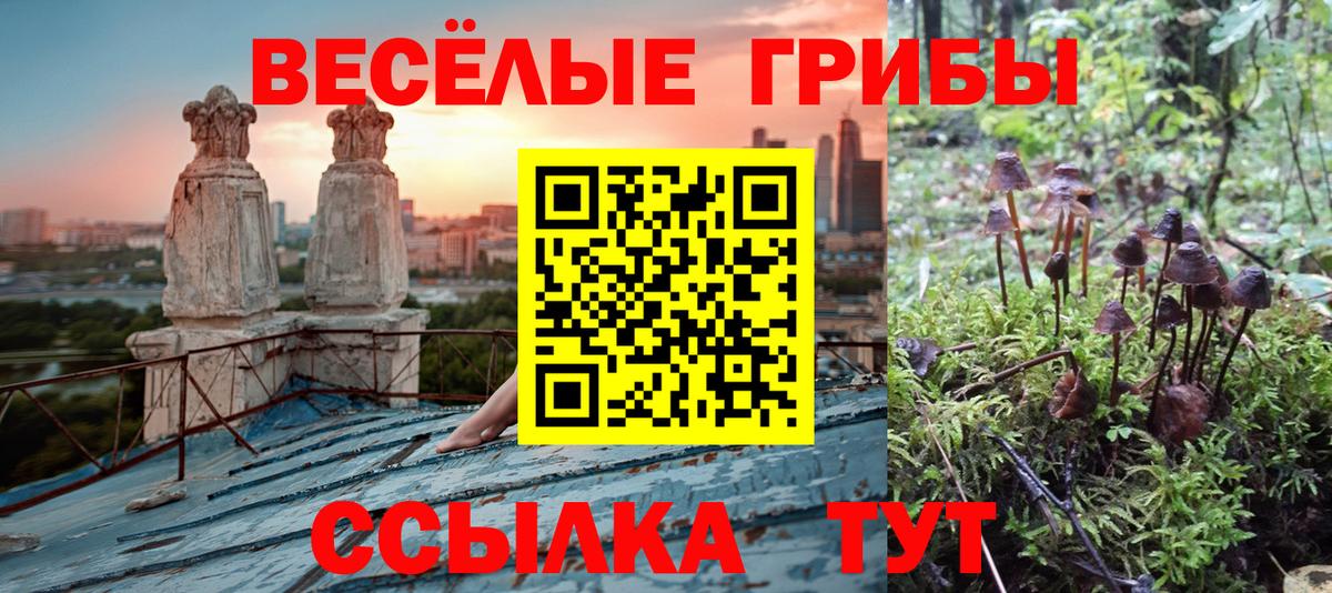 Беслан  Псилоцибиновые грибы Psilocybine cubensis  наркота  Вход с VPN 