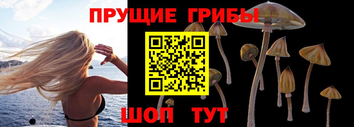 Галлюциногенные грибы ЛСД Беслан