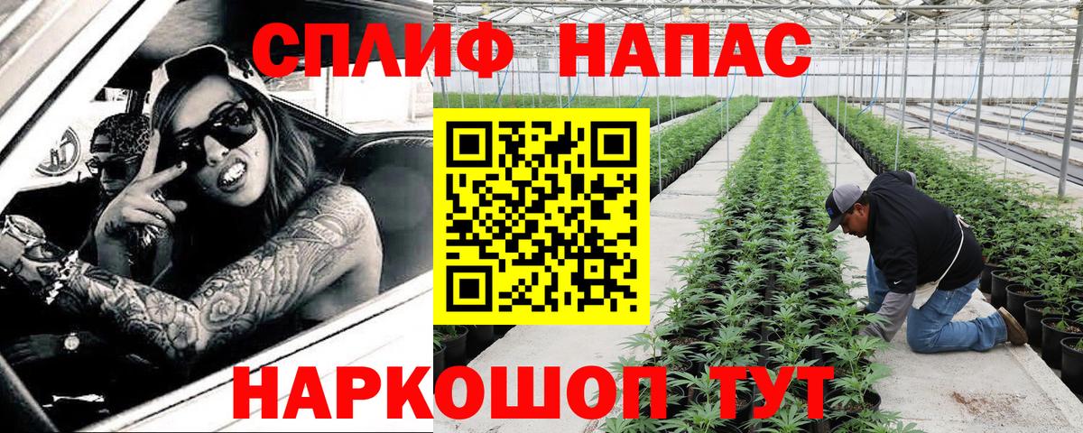 Бошки Шишки гибрид Беслан